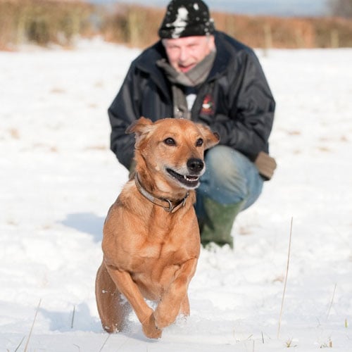 Man-&-dog-in-snow-shutterstock_24617929