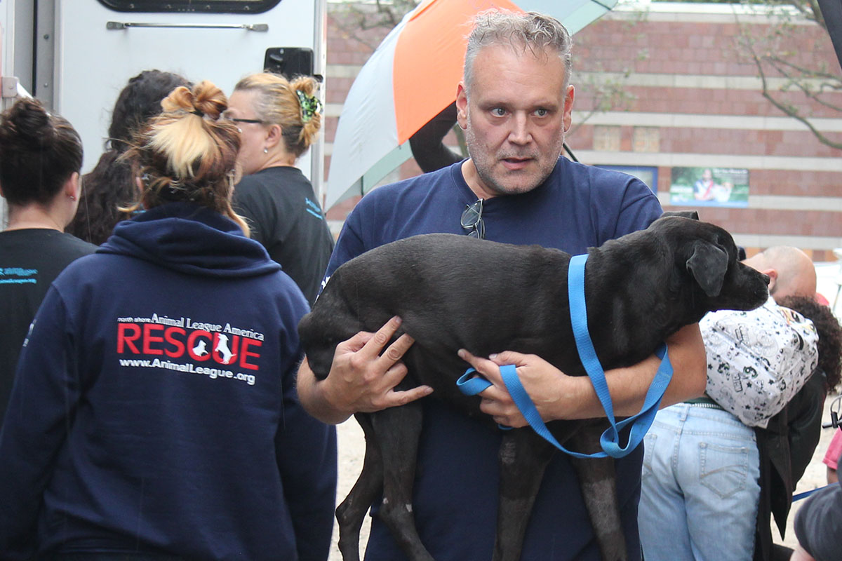 hmh-delilah-lab-mix-pr-rescue-arrival-img7842-102417