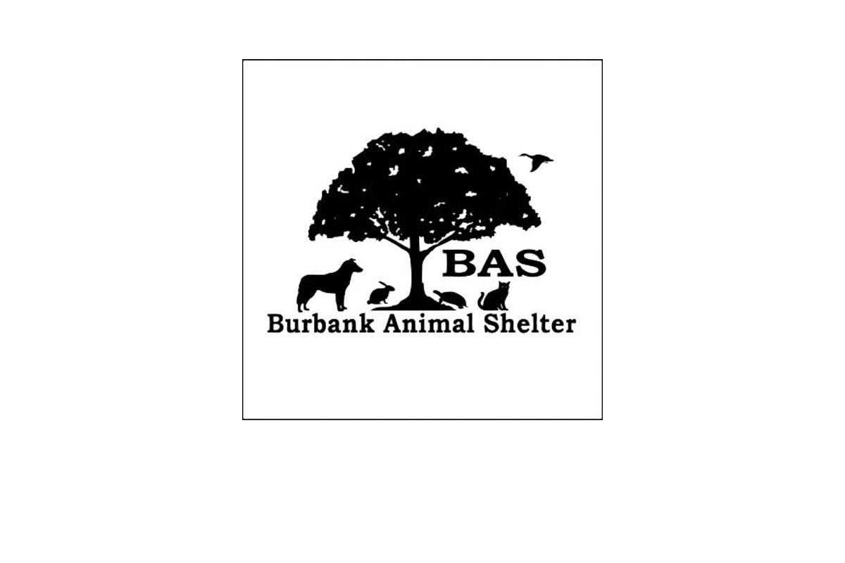 Burbank Animal Shelter Animal League