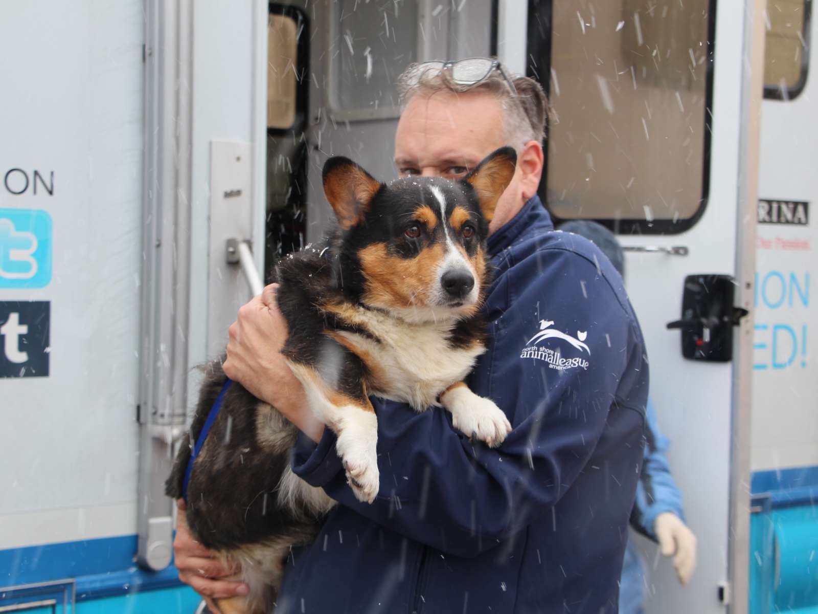 47 Dogs and Puppies Rescued from Midwest Rescue Animal League