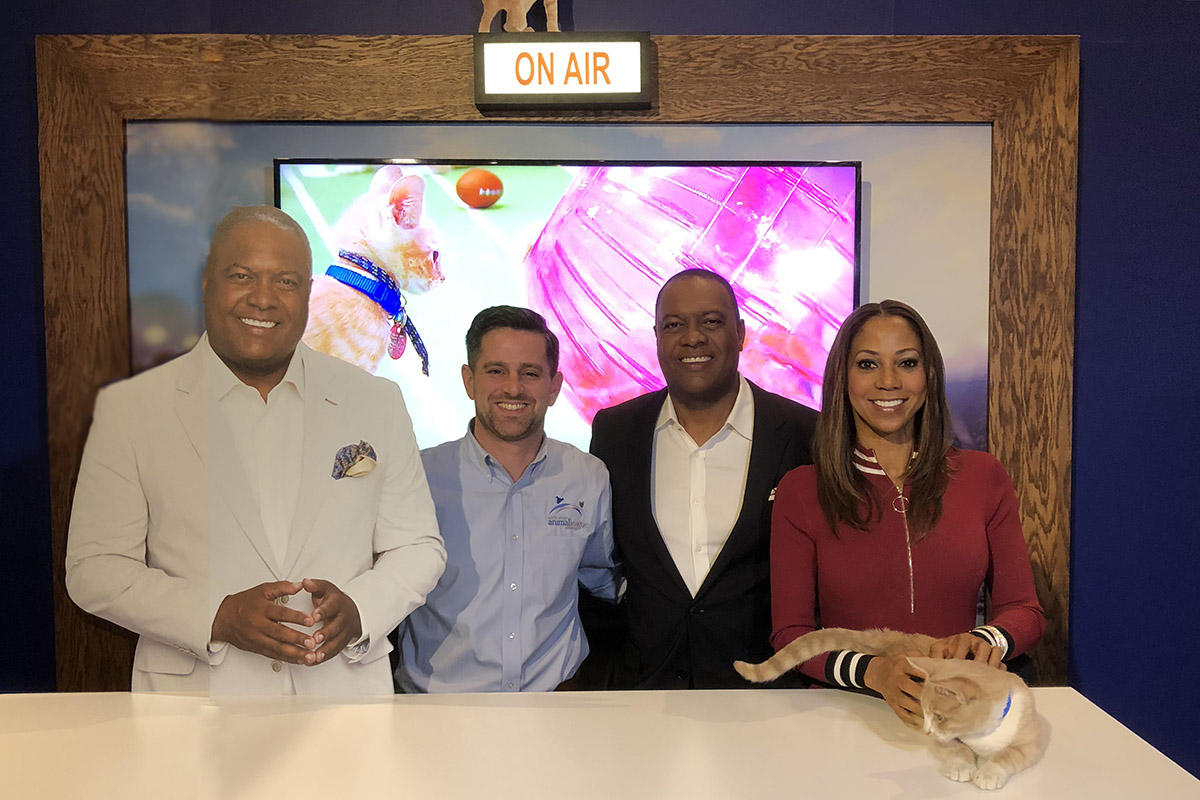 events-kitten-bowl-minneapolis-rodney-peete-holly-robinson-img8302