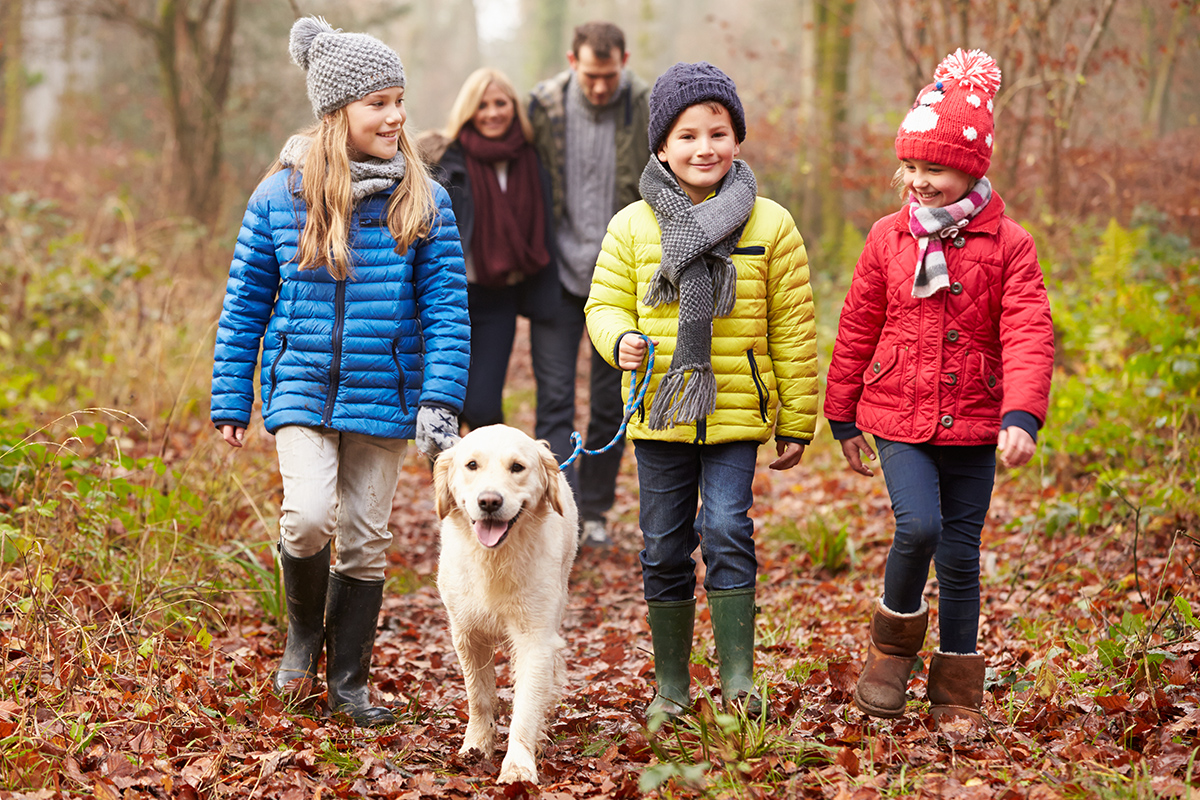 Family Walking Dog Through Winter Woodland