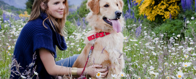 a woman sitting in a field of flowers with a dog