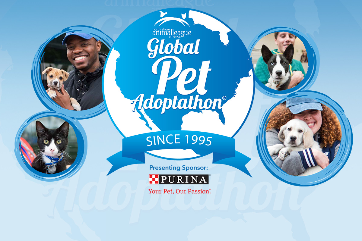 event-calendar-news-and-events-pet-adoptathon-3-03302018