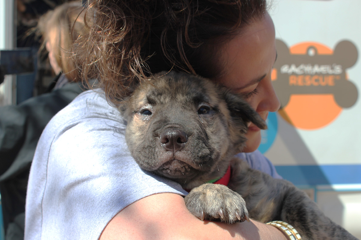 a woman holding a dog