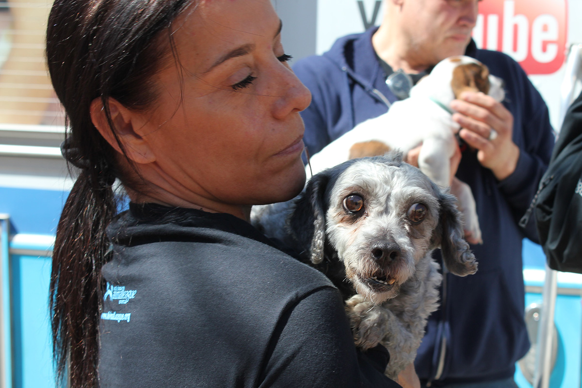 a woman holding a dog