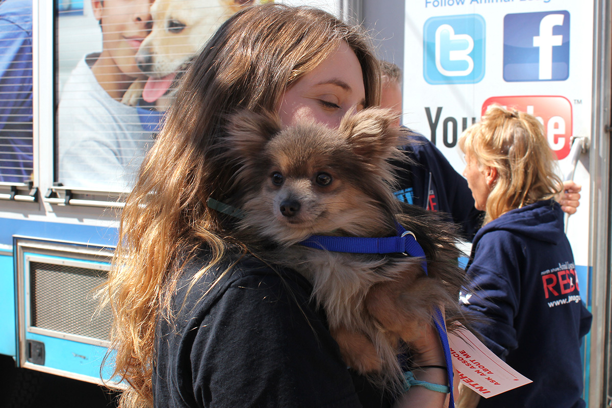 a woman holding a dog