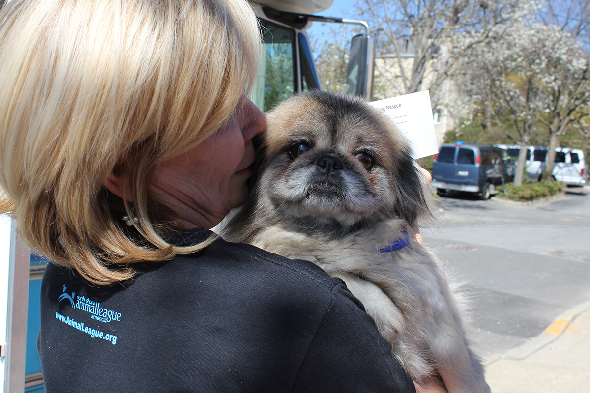 a woman kissing a dog