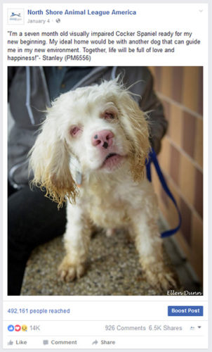adoption-story-disabled-pets-feb2017-Stanley-FB-Postb