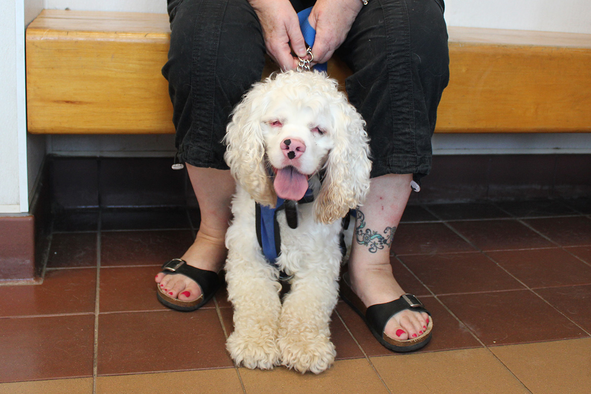 adoption-story-jamie-080618-IMG_4885