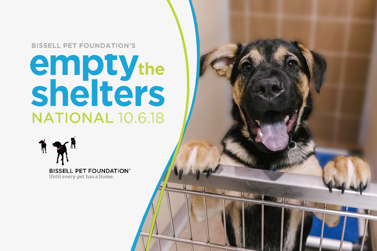 Empty the Shelters Adoption Event | Animal League