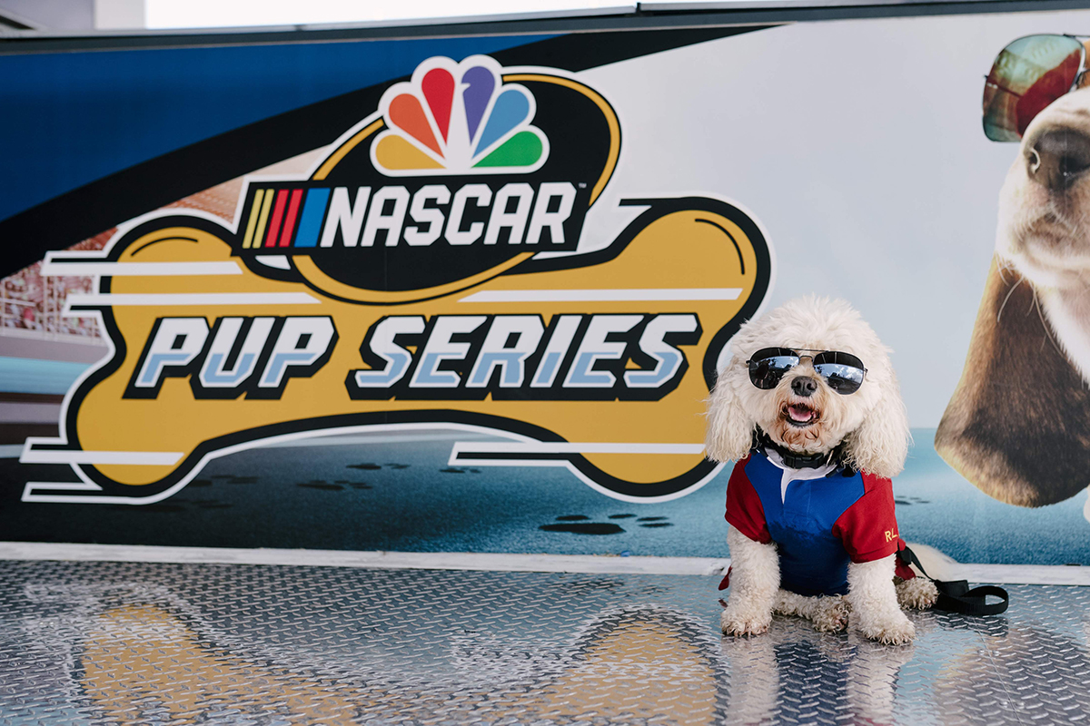 events-nascar-adopt-august2018-ted4287