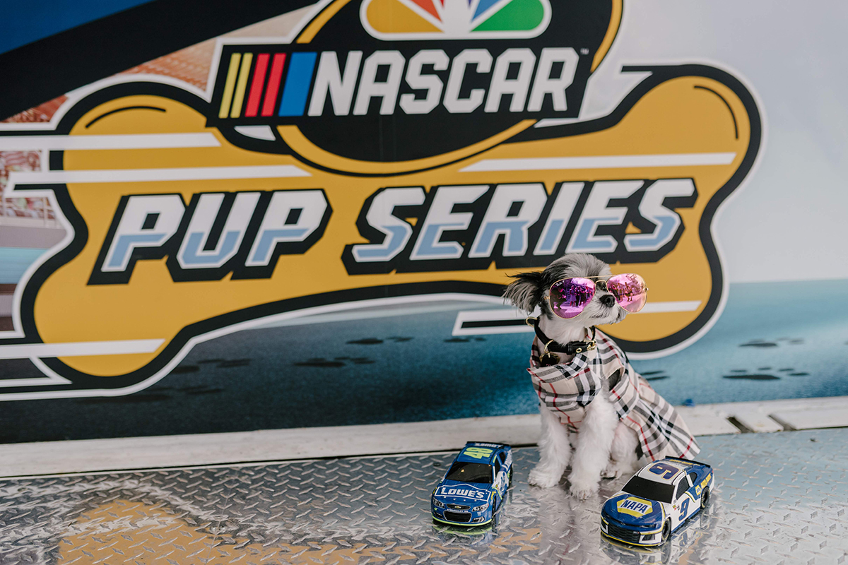 events-nascar-adopt-august2018-ted4312