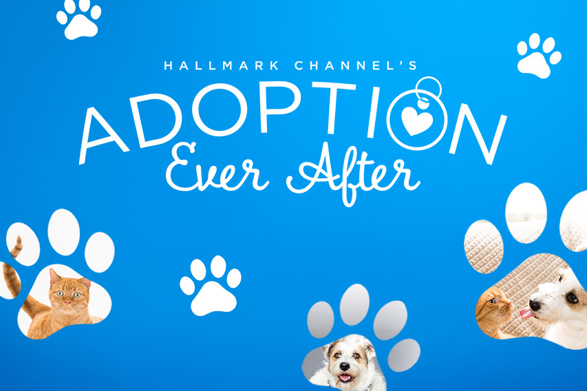 homemade chinchilla food