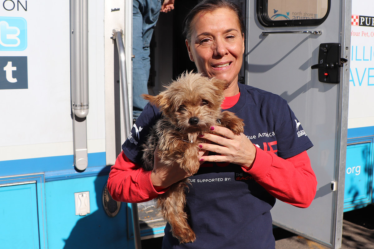 North shore animal league puppy deals mill rescue