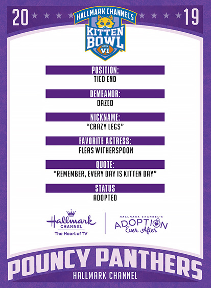 a purple and white poster with text