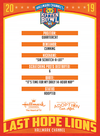 a poster with text on it
