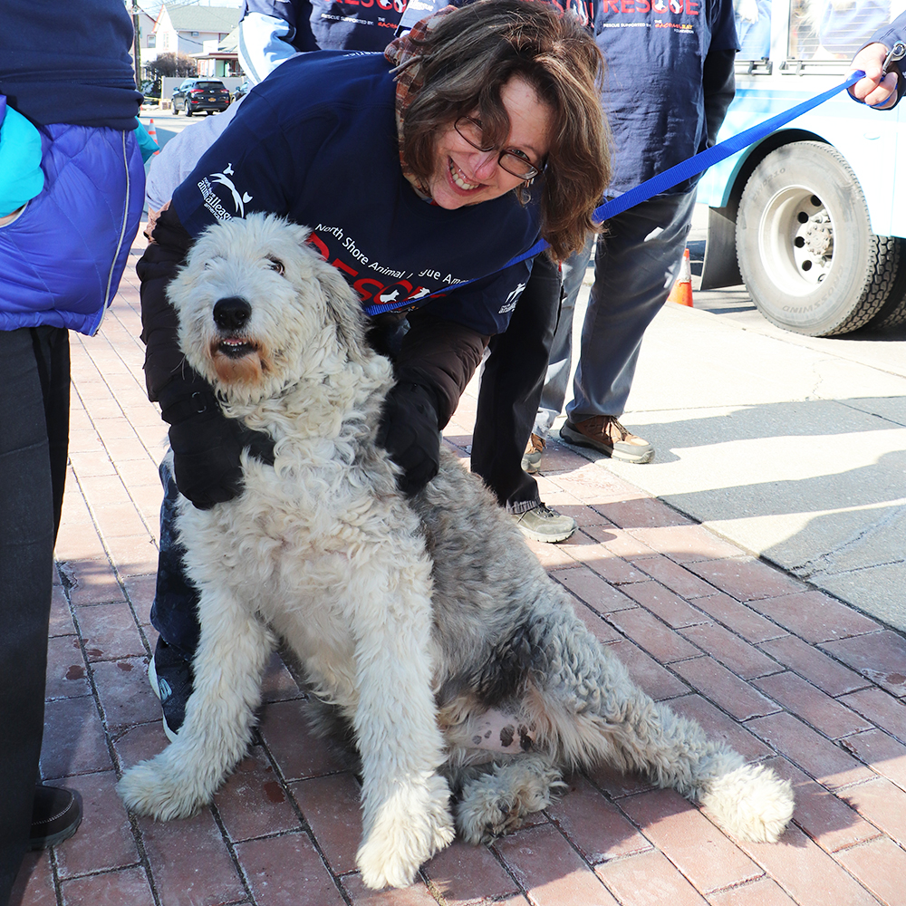 rescue-national-mill-dog-rescue-120818-img1867