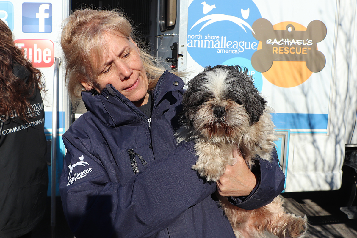 a woman holding a dog