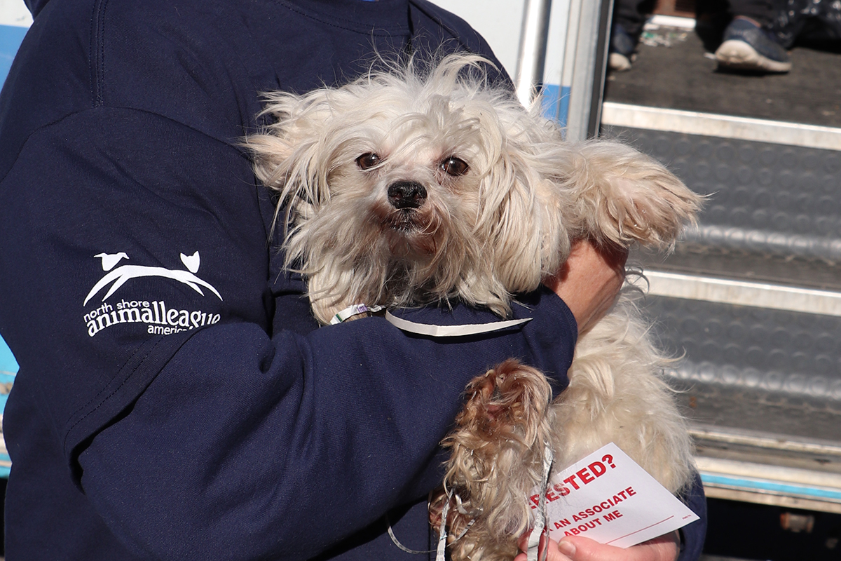 a person holding a dog