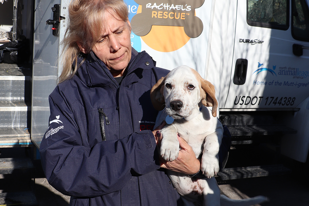 a woman holding a dog
