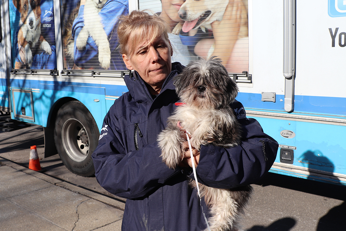 a woman holding a dog