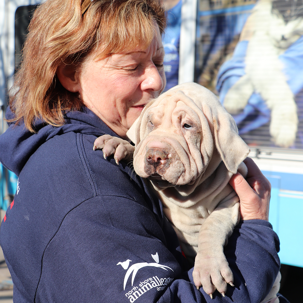 rescue-national-mill-dog-rescue-120818-img2236
