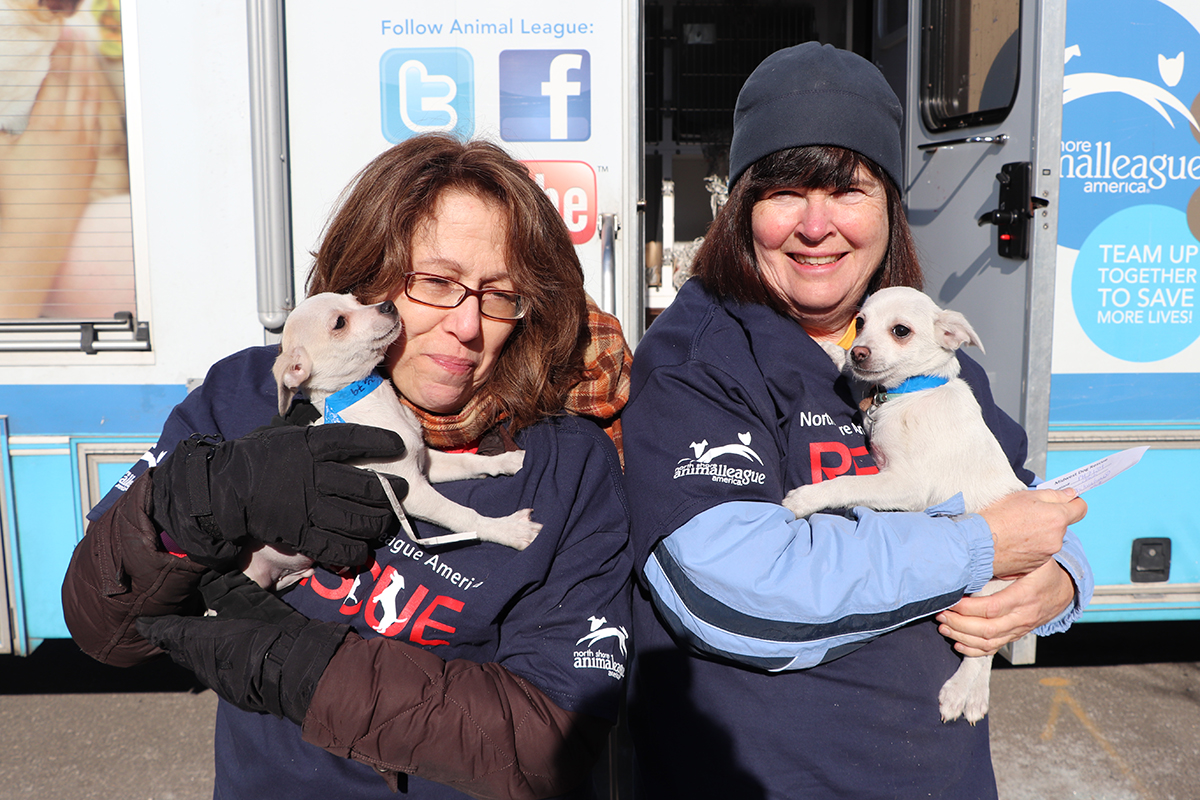 two women holding dogs in their arms