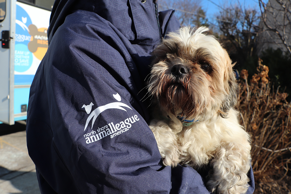 a dog in a person's arms