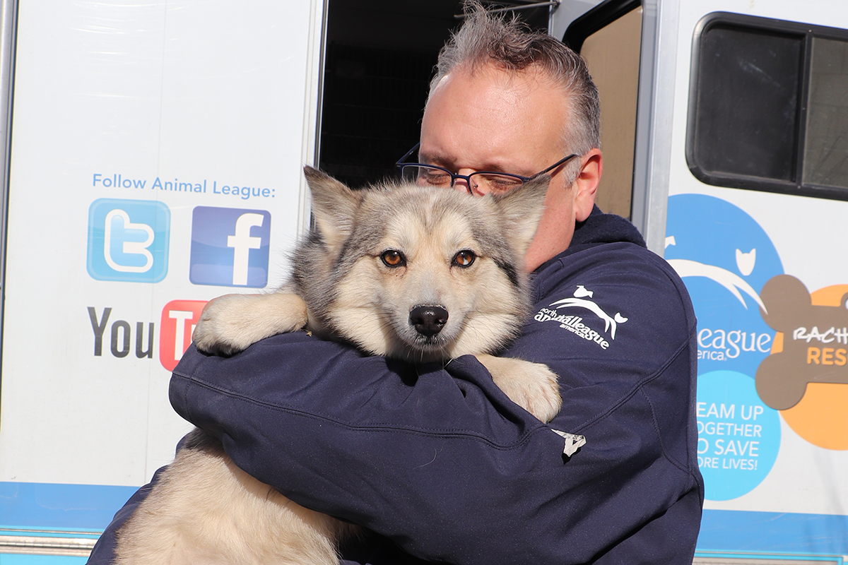 a man holding a dog