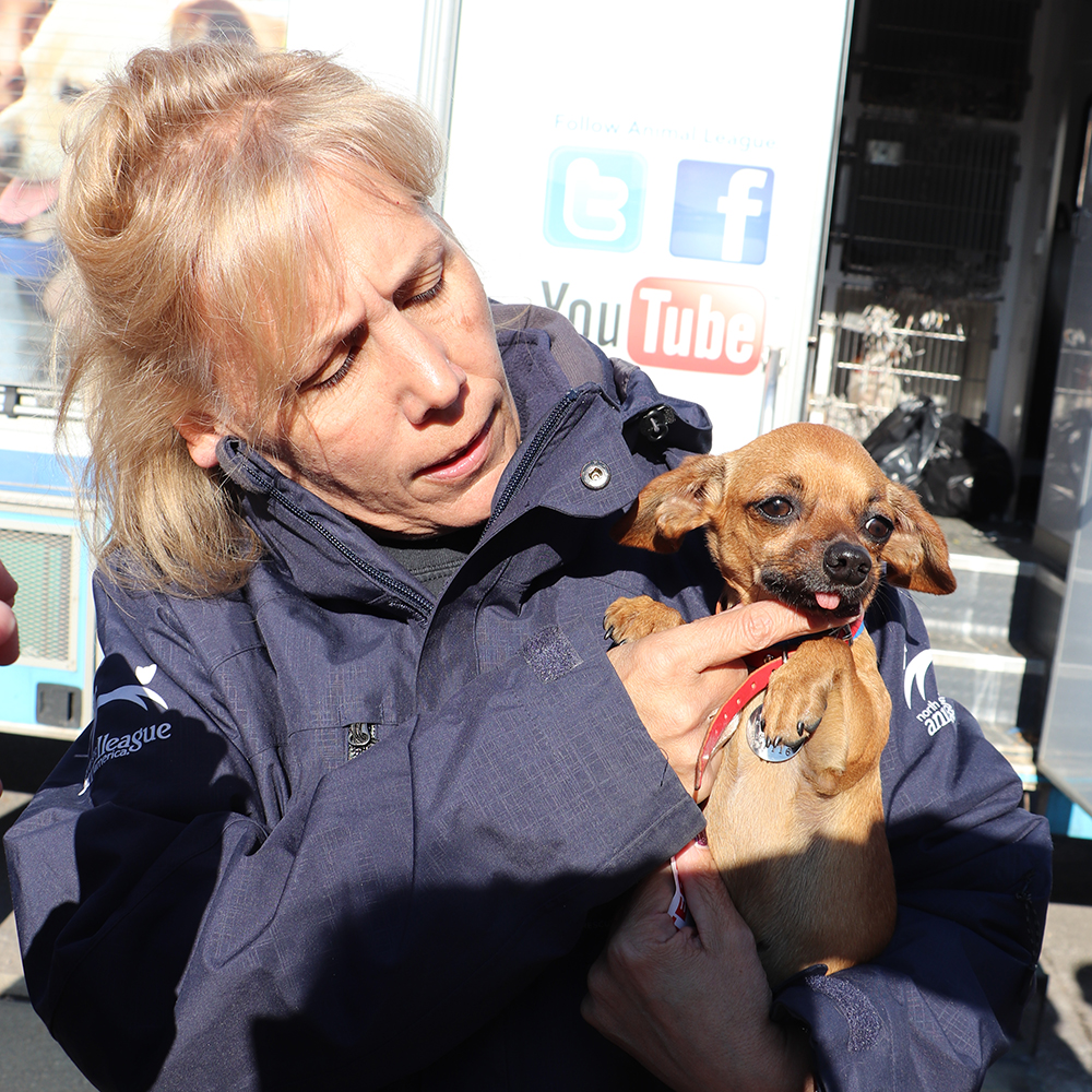 rescue-national-mill-dog-rescue-120818-karla-and-tilly-img2006