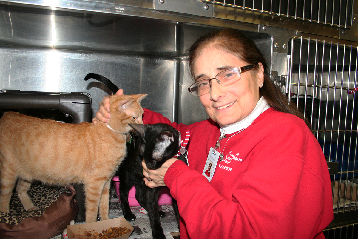 volunteer-month-kathryn-st-juste-04012019