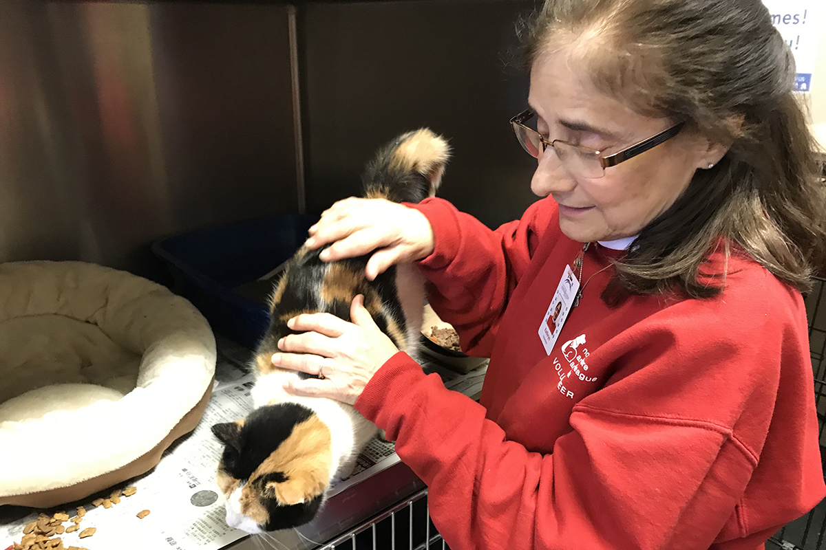 volunteer-month-kathryn-st-juste-cat6-04012019