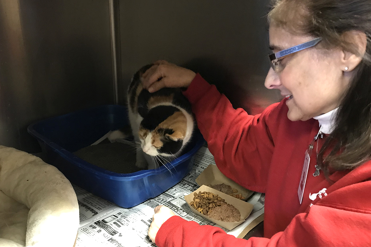 volunteer-month-kathryn-st-juste-img0032-04012019