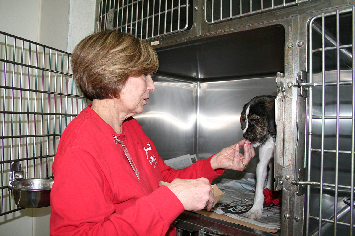 volunteer-month-kathy-dilello-IMG_0689