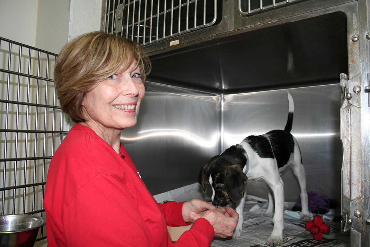 volunteer-month-kathy-dilello-IMG_0692