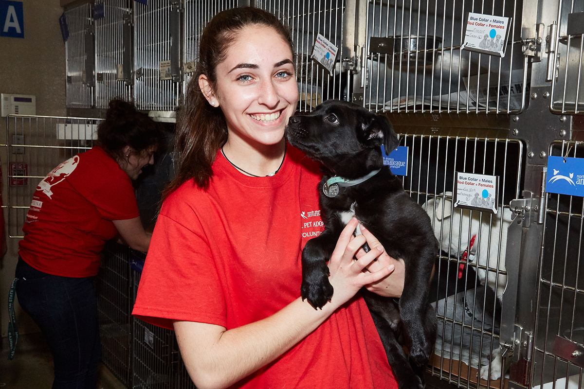 Samantha Rothstein | Volunteer Appreciation Month | Animal League Samantha Rothstein | Volunteer Appreciation Month | Animal League
