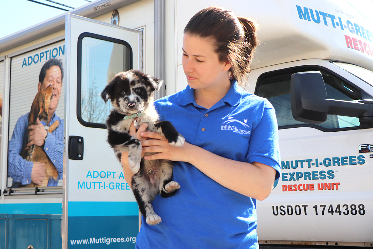 june2019-rescues-paart-img8420