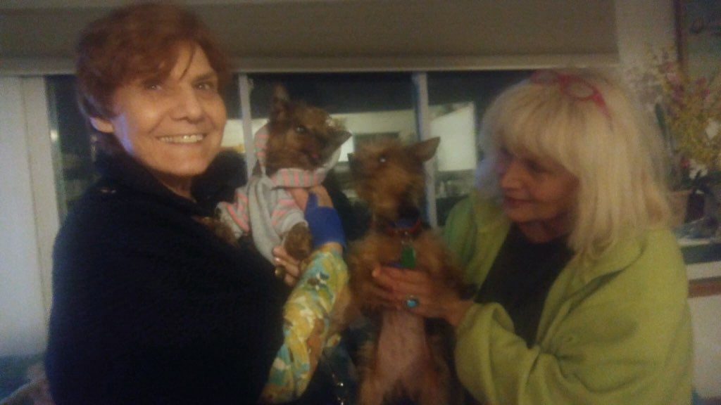 yorkie-sisters-at-heart-adopters-carol-mary-with-yorkies