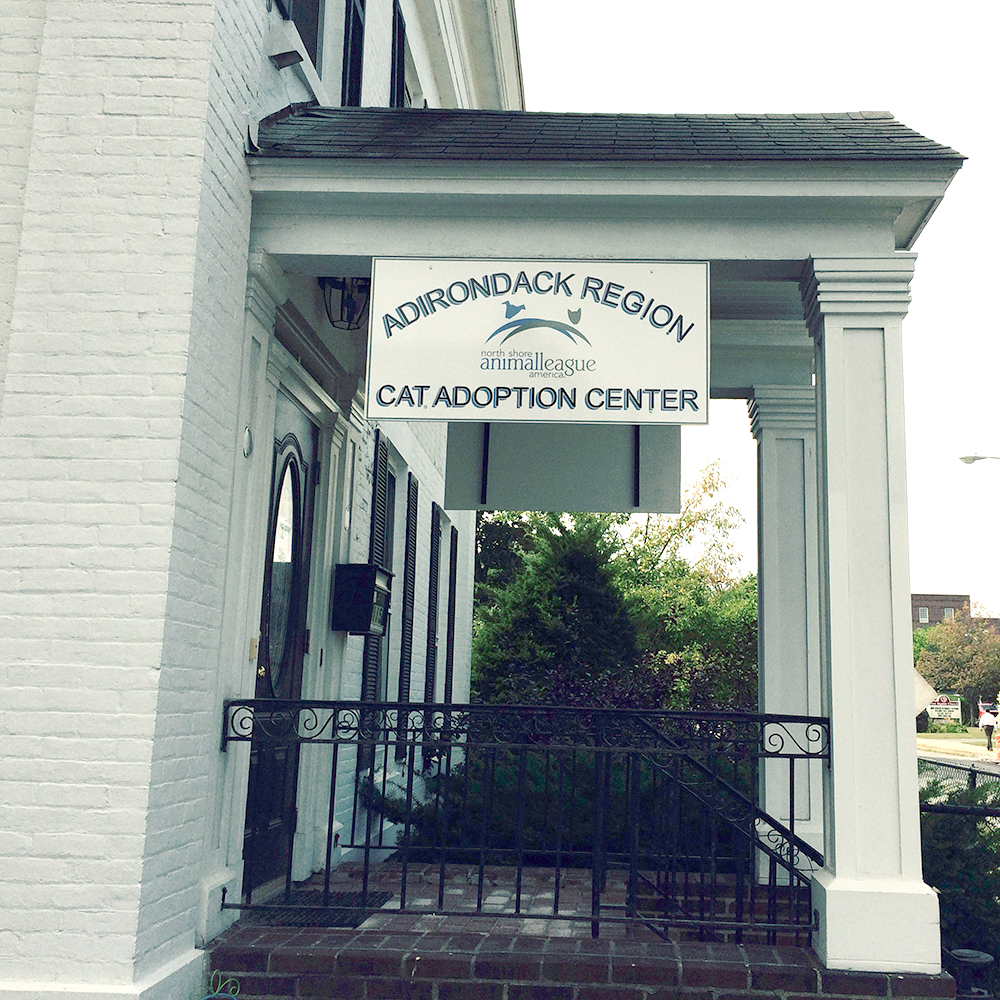 adirondack-region-story-july2019-enews-front-building