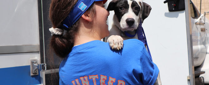 a woman holding a dog