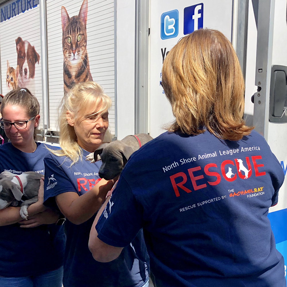 a group of people holding puppies
