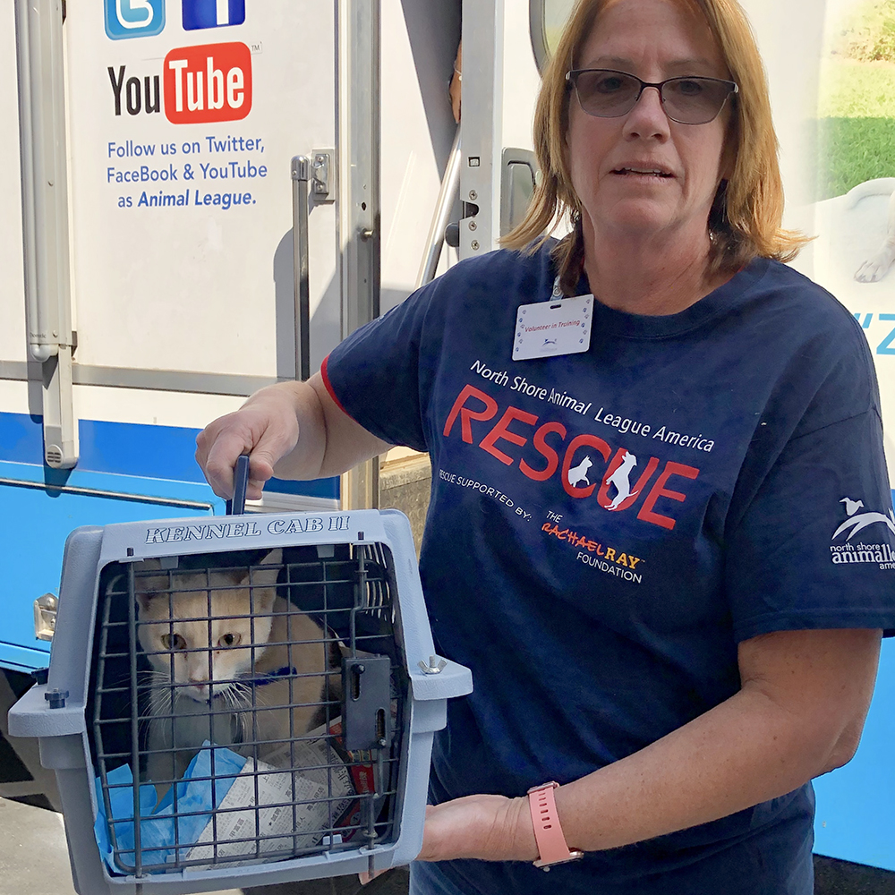 a woman holding a cat in a cage