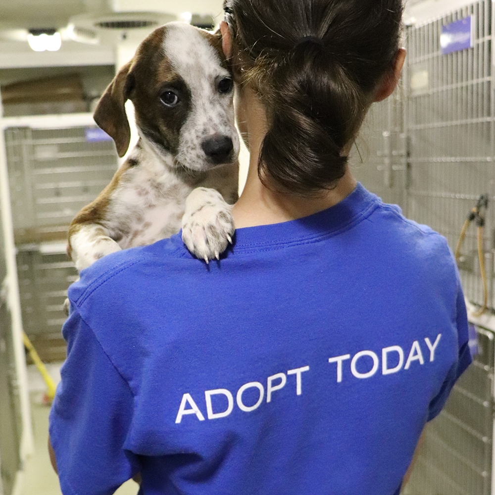 a woman holding a dog