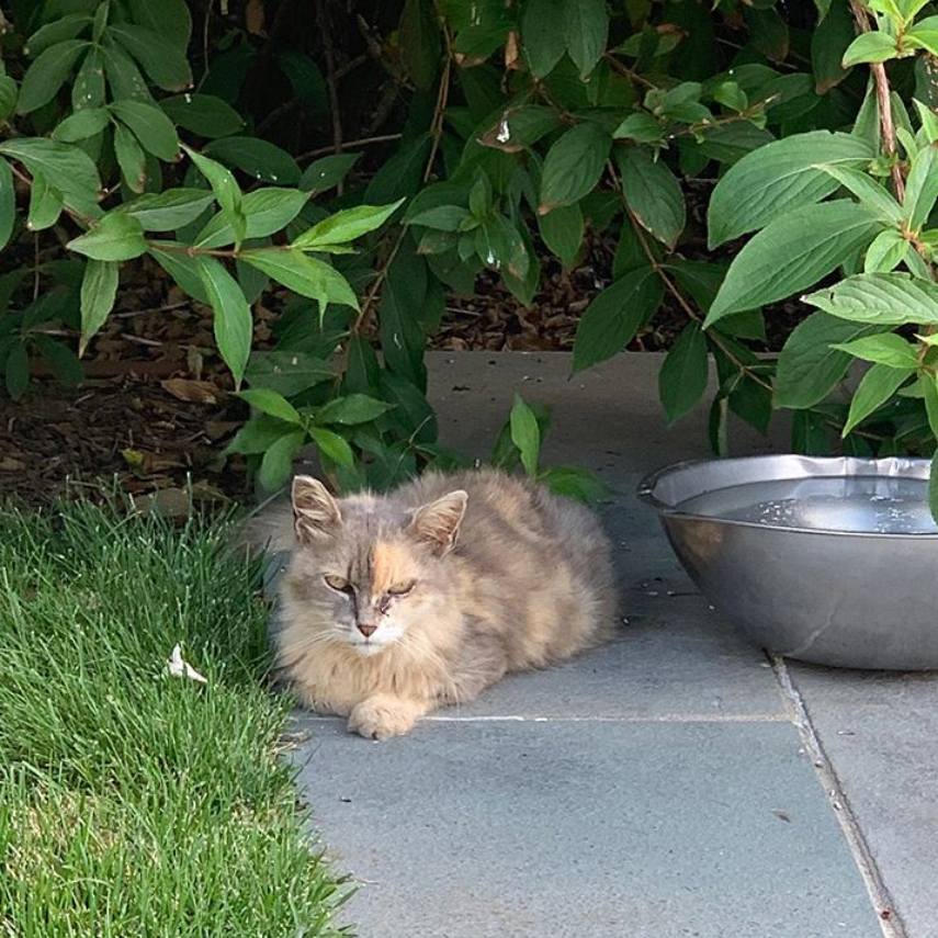 beths-blog-oct2019-muffin1