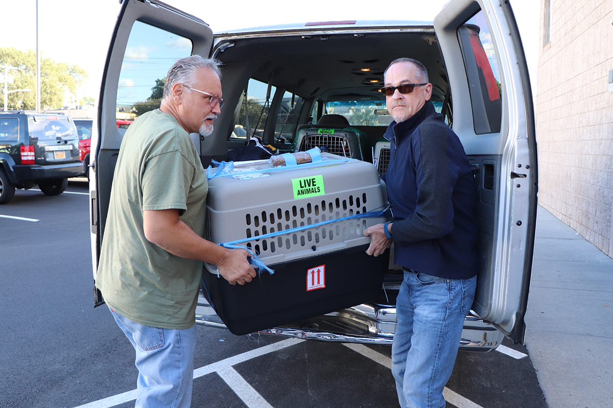 two men carrying a crate into a van