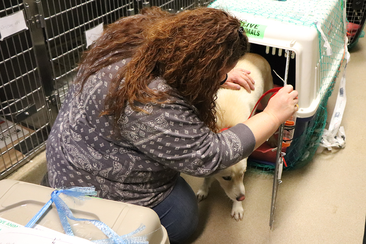 a woman holding a dog in a cage