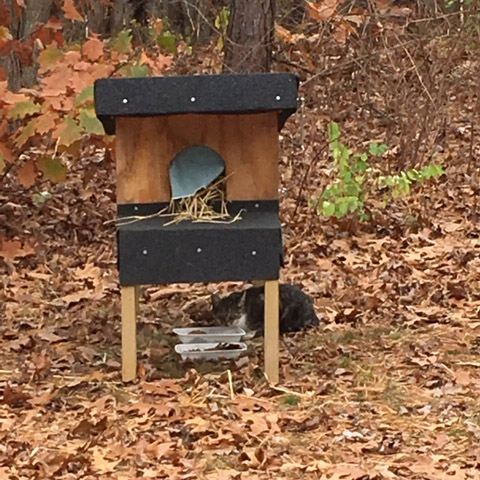 spotlight-story-nassau-boces-feral-cat-box-autumn