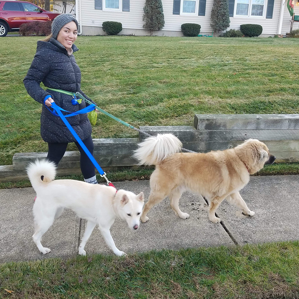 a woman walking dogs on leashes