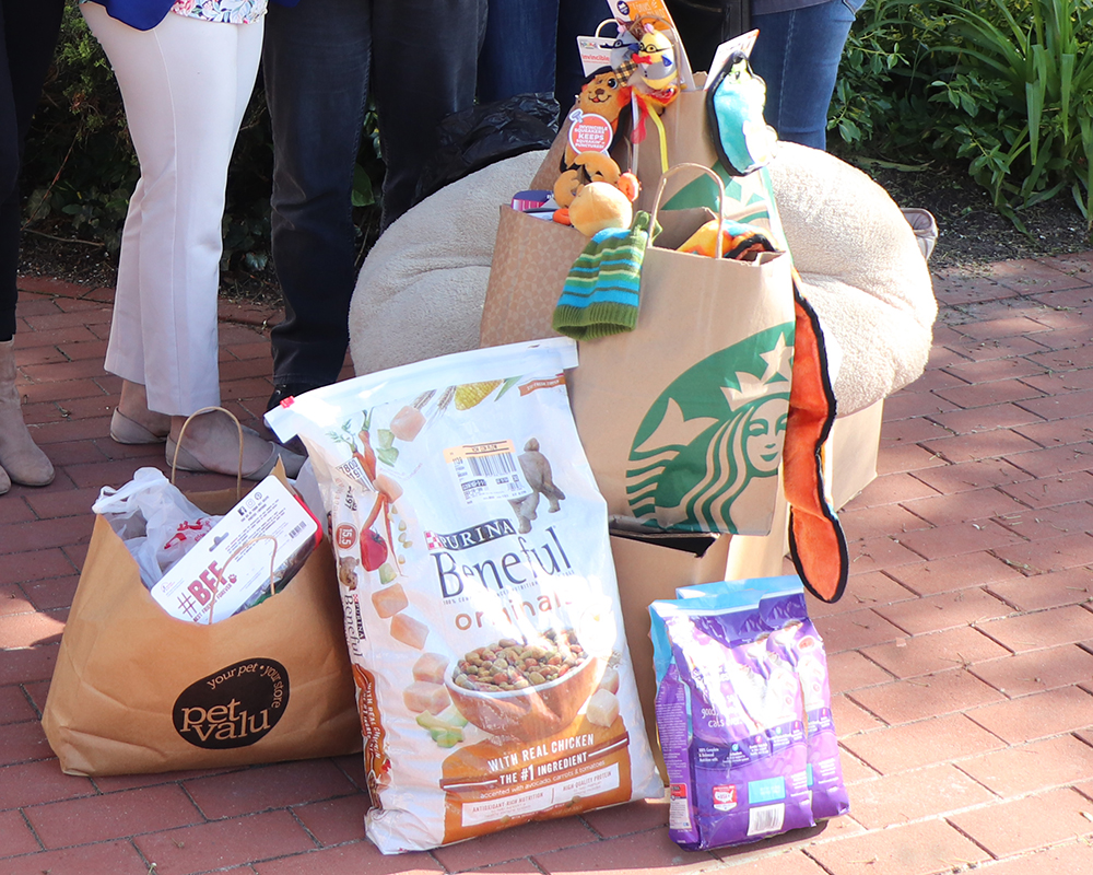 beths-blog-dec2019-supplies-donation
